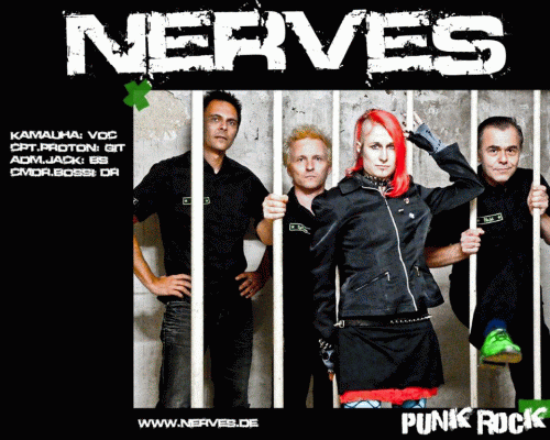 NERVES