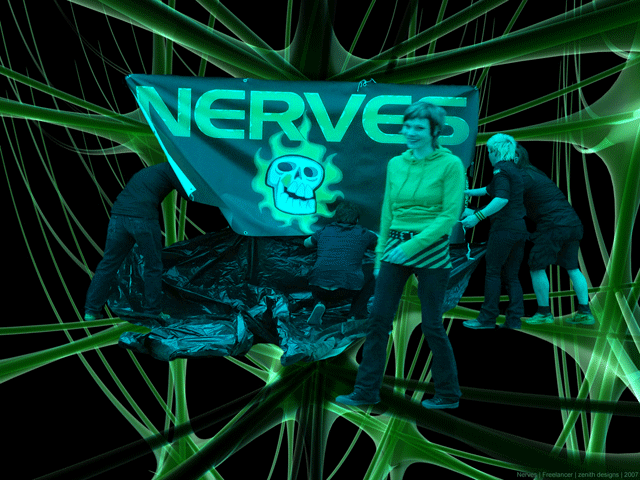 THE NERVES